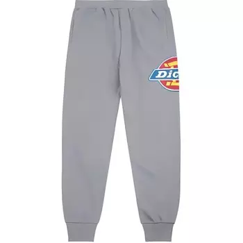 Трикотажные спортивные штаны унисекс среднего размера с пепельным оперением Dickies, серый