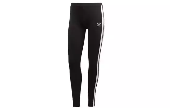 Трикотажные спортивные штаны женские Adidas Originals