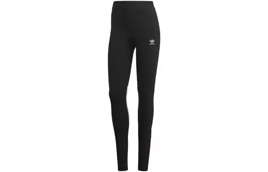 Трикотажные спортивные штаны женские Adidas Originals