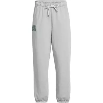 Трикотажные спортивные штаны женские серые Under Armour