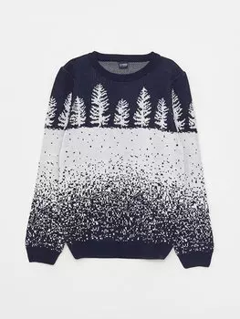 Трикотажный свитер для мальчиков с круглым вырезом и длинными рукавами LCW Kids, темно-синий