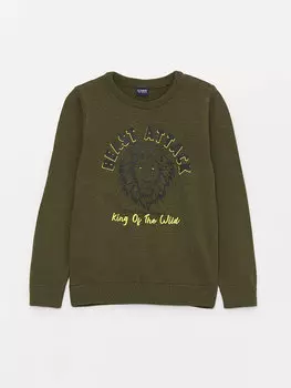 Трикотажный свитер для мальчиков с круглым вырезом и длинными рукавами LCW Kids, зеленый