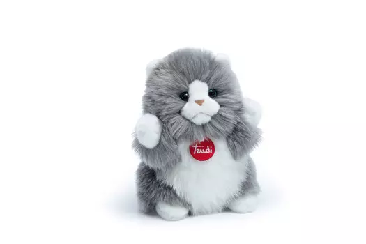 Труди, талисман, пушистики, котёнок Trudi