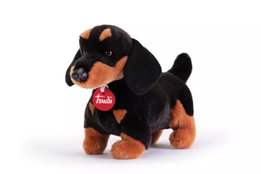 Труди, Такса Лео (S) Trudi