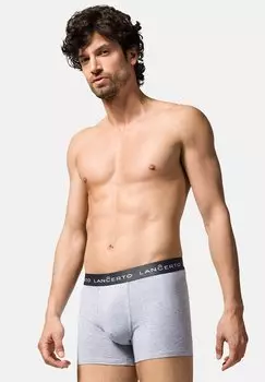 Трусики Lancerto, серый