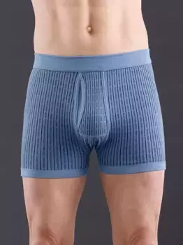 Трусы (2 шт.) Wschepur, голубой