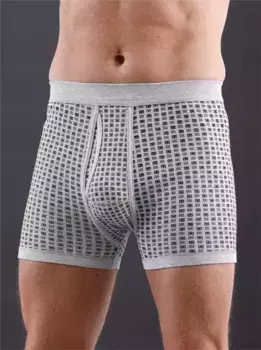 Трусы (2 шт.) Wschepur, серый