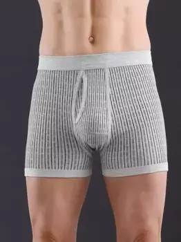 Трусы (2 шт.) Wschepur, серый