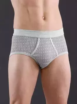 Трусы (2 шт.) Wschepur, серый