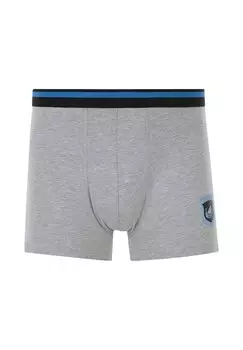 Трусы 3ER PACK RETRO VELJOR Jan Vanderstorm, серый