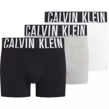 Трусы-боксеры Calvin Klein 000NB3608A 3 units, разноцветный