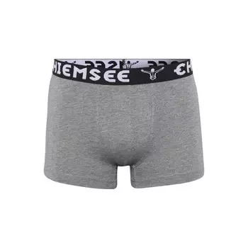 Трусы-боксеры Chiemsee, серый