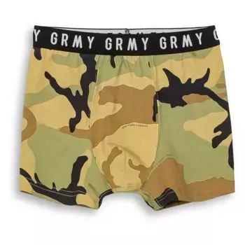 Трусы-боксеры Grimey Follow The Dollar, бежевый/зеленый