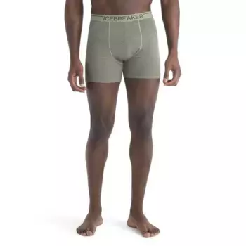 Трусы-боксеры Icebreaker Anatomica, серый
