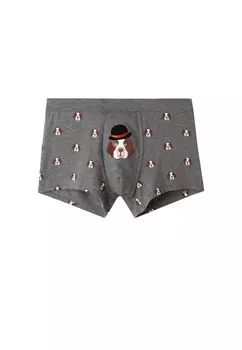 Трусы боксеры Intimissimi, серый