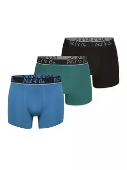 Трусы боксеры Phil & Co. Berlin Retro Boxer Jersey Core, цвет BlackGreenBlue