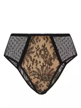Трусы-брифы из тюля пуэн-деспри DOLCE & GABBANA, черный