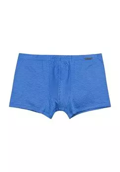 Трусы Cotton & More, в полоску, с эмблемой, мужские AMMANN, цвет Saphir