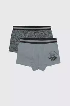 Трусы для мальчиков Coccodrillo 2 упаковки