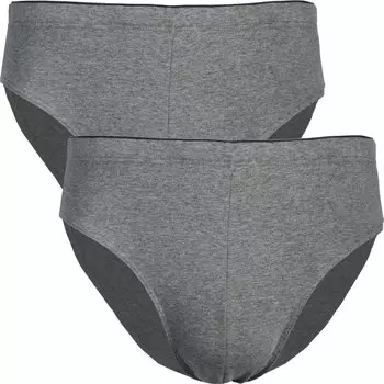 Трусы Erwin Mller 2er Pack, цвет grau meliert