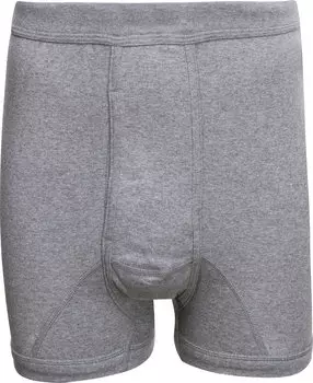 Трусы Erwin Mller Schlpfer 2er Pack, цвет grau meliert