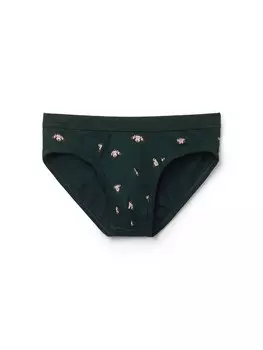 Трусы INTIMISSIMI Panty, цвет fir