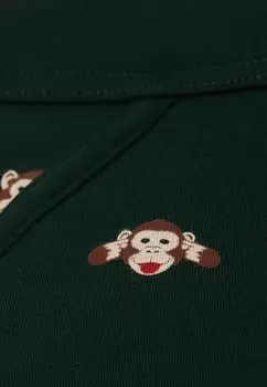 Трусы Intimissimi, зеленый