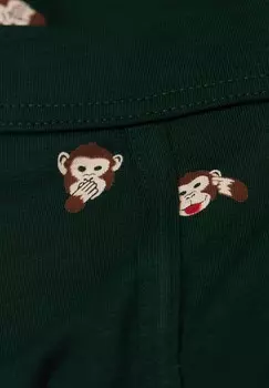 Трусы Intimissimi, зеленый