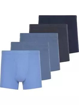 Трусы Jan Vanderstorm 5er Pack Retropants GARDAR, синий