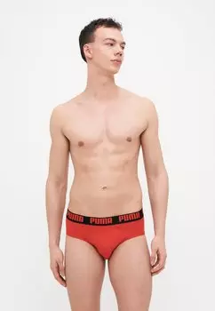 Трусы MEN EVERYDAY BRIEFS 2 PACK Puma, мультиколор