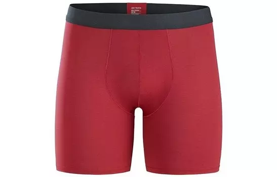 Трусы мужские Arcteryx, серый