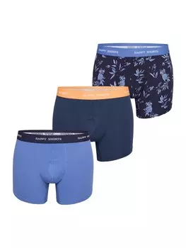 Трусы Phil & Co. Berlin Boxer shorts All Styles, разноцветный