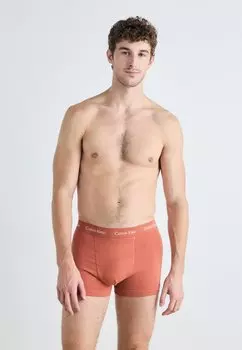 Трусы TRUNK 3 PACK Calvin Klein Underwear, серо-коричневый