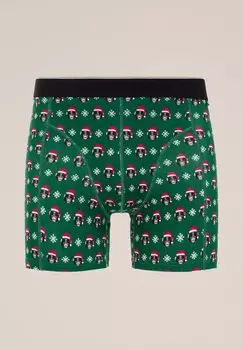 Трусы WE Fashion, темно-зеленый