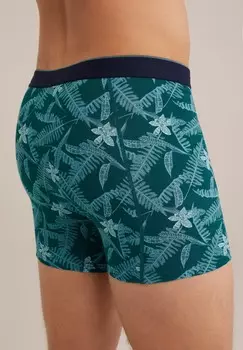 Трусы WE Fashion, темно-зеленый