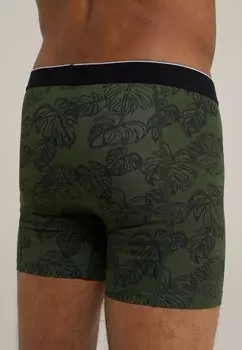 Трусы WE Fashion, зеленые