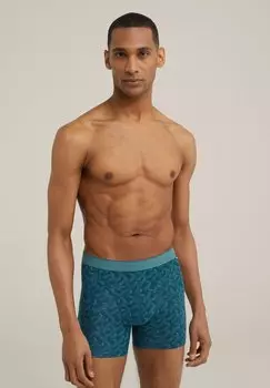 Трусы WE Fashion, зеленые