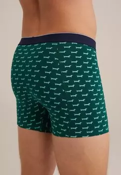 Трусы WE Fashion, зеленый