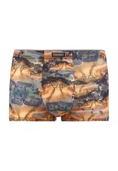 Трусы, зебровый принт, нашивка с логотипом, мужские bruno banani, цвет Zebra Print