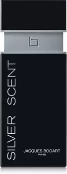 Туалетная вода Bogart Silver Scent