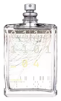 Туалетная вода Escentric Molecules Molecule 04, 100 мл