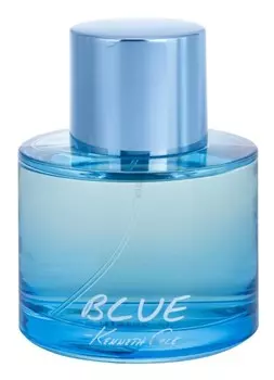 Туалетная вода Kenneth Cole Blue, 100 мл