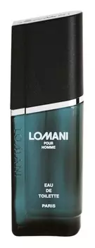 Туалетная вода Lomani Pour Homme, 100 мл