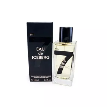 Туалетная вода-спрей для мужчин Iceberg Eau de Iceberg Homme 100 мл