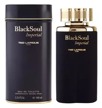 Туалетная вода Ted Lapidus Black Soul Imperial, 100 мл