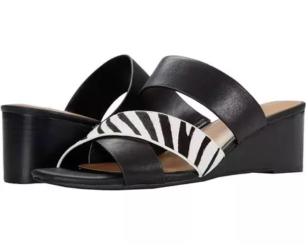Туфли Aerosoles Westfield, цвет Zebra