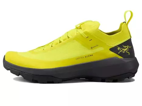 Туфли Arc'teryx Vertex Alpine GTX, цвет Euphoria/Graphite 1