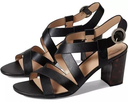 Туфли Bandolino Desty 3, цвет Black 8