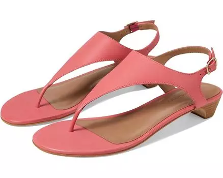 Туфли Bernardo Goldy, цвет Peony