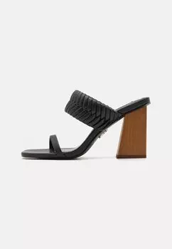 Туфли без каблуков RAVER Steve Madden, цвет black